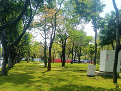 国务院修订《城市绿化条例》等 9 部法规 行业规范升级